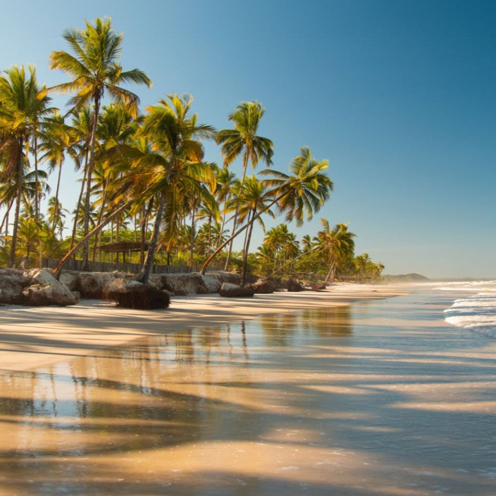 3-Day Wellness and Coaching Retreat